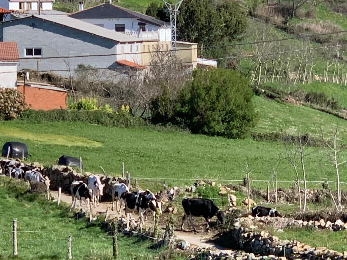 Vila C'Genoveva Complejo Turistico Rural Caleacabo Biescas  Exteriér fotografie